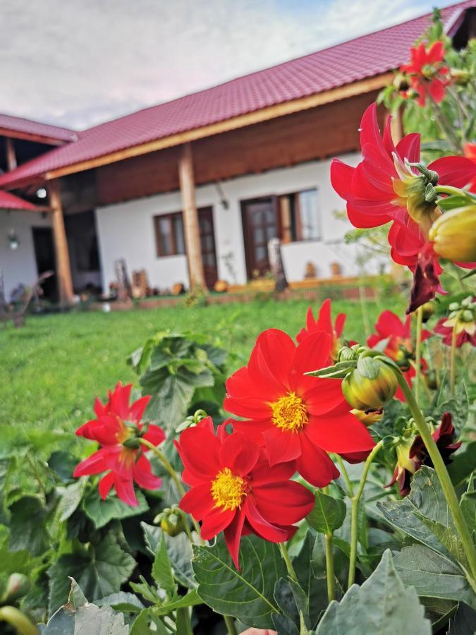 Jugul Taranului Agropensiune Polovragi, Gorj Βίλα Εξωτερικό φωτογραφία