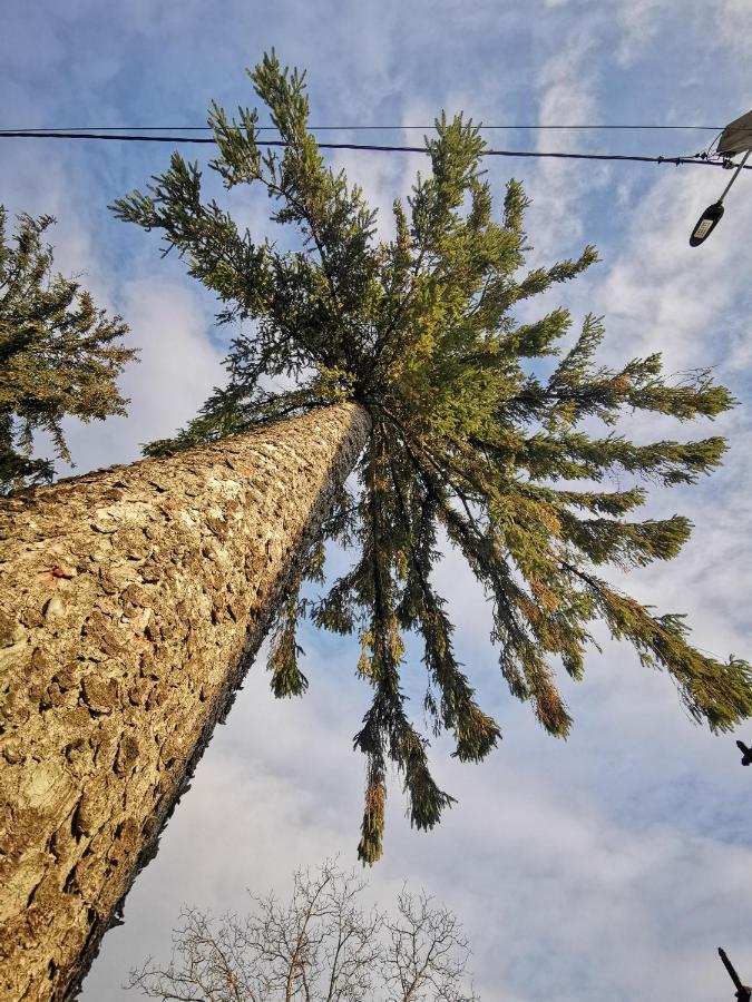 Jugul Taranului Agropensiune Polovragi, Gorj Βίλα Εξωτερικό φωτογραφία